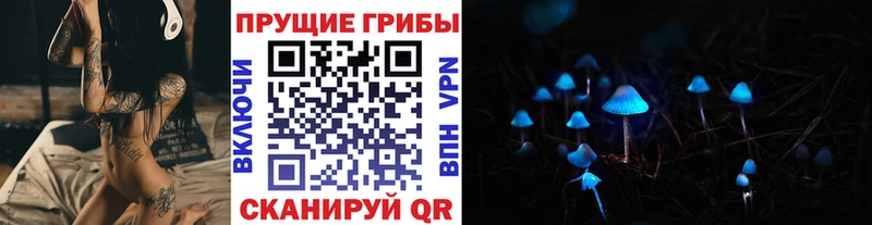 Галлюциногенные грибы Psilocybe  Стерлитамак 